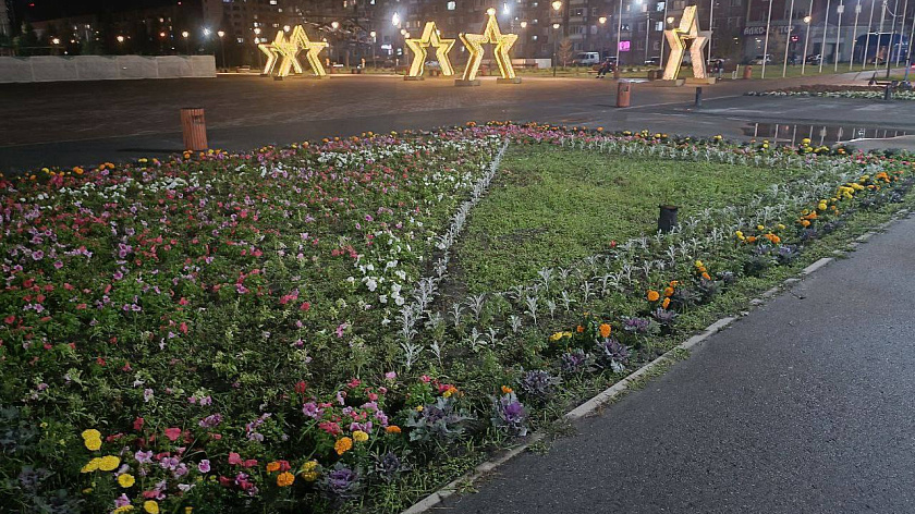 В Новом Уренгое жалуются на проблемы с «бедным» озеленением